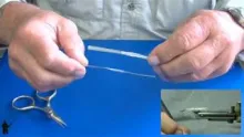 Video thumb for Shrimp shells