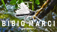 Video thumb for Bibio Marci, Hawthorn Dry Fly