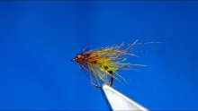 Video thumb for Bright Eyed Caddis Pupa