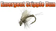 Video thumb for Stalcup's Emergent Cripple Dun