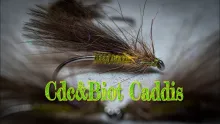 Video thumb for CDC Biot Caddis