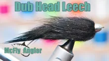 Video thumb for Bull Dub Leech