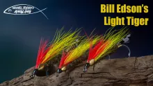 Video thumb for Bill Edson's Light Tiger