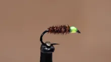 Video thumb for Cased Caddis Larva