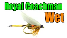 Video thumb for Royal Coachman Wet Fly