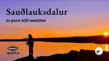 Video thumb for Fishing in Sauðlauksdalur Lake