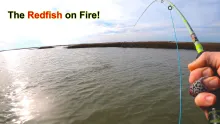 Video thumb for Corpus Redfish Fly Fishing