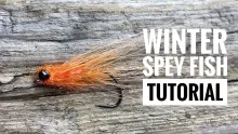 Video thumb for Winter Spey Fish