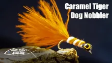 Video thumb for Caramel Tiger Dog Nobbler