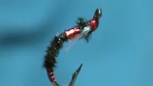 Video thumb for Pheasant Tail Midge