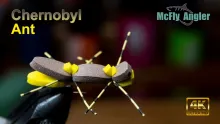 Video thumb for Chernobyl Ant