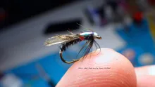 Video thumb for Black Adult Midge (Duck Fly)