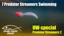 Video thumb for Streamer flies - real underwater footage