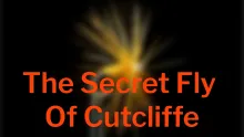 Video thumb for The Secret Fly of Cutcliffe