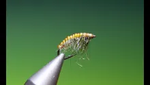 Video thumb for Snow Shoe Caddis Larva