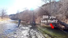 Video thumb for Texas Fly Fishing in Winter