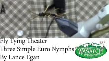 Video thumb for Three Easy Euro Nymphs