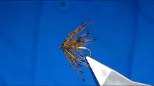 Video thumb for Daddy Long Legs (Wet Fly)