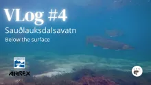 Video thumb for Sauðlauksdalsvatn