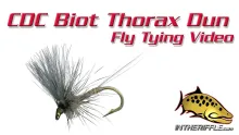 Video thumb for CDC Biot Thorax Dun