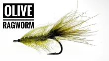 Video thumb for Olive Ragworm