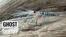 Video thumb for Ghost Shrimp