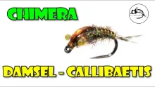 Video thumb for Chimera Damsel Callibaetis