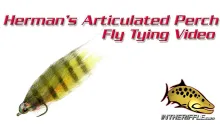 Video thumb for Herman's Articulated Perch Minnow