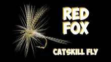 Video thumb for Red Fox