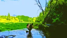 Video thumb for Welcome to Fly fishing in Slovakia