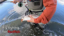 Video thumb for Fishing the Gulf in the heat of Summer