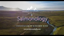 Video thumb for Salmonology