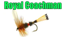 Video thumb for Royal Coachman Classic Dry