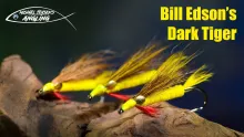 Video thumb for Bill Edson's Dark Tiger