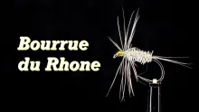 Video thumb for Bourrue du Rhone