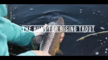 Video thumb for The hunt for rising trout