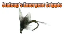 Video thumb for Stalcup's Emergent Cripple