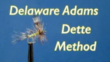 Video thumb for Delaware Adams