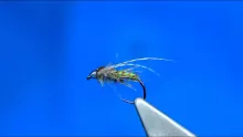 Video thumb for One of my Top Caddis Pupa Flies