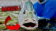 Video thumb for A 10.000$ fishing trip… Is it worth it?