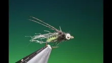 Video thumb for Long Horn Caddis Pupa