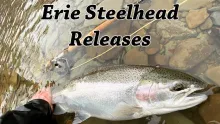 Video thumb for Erie Steelhead Fly Fishing