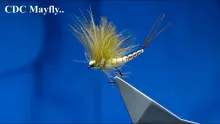 Video thumb for Detached Bodied CDC Mayfly