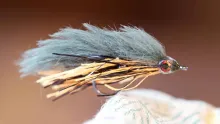 Video thumb for Extreme Stickleback