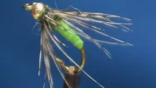 Video thumb for Ken's Beadhead Caddis Pupa