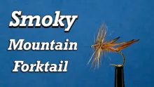 Video thumb for Smoky Mountain Forktail