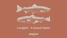 Video thumb for Laxaþjóð - A Salmon Nation