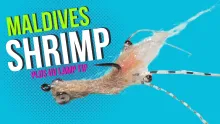 Video thumb for Easy Spawning Shrimp