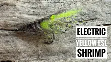 Video thumb for Electric Yellow ESL Shrimp