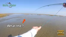 Video thumb for Redfish, we found the perfect spot!